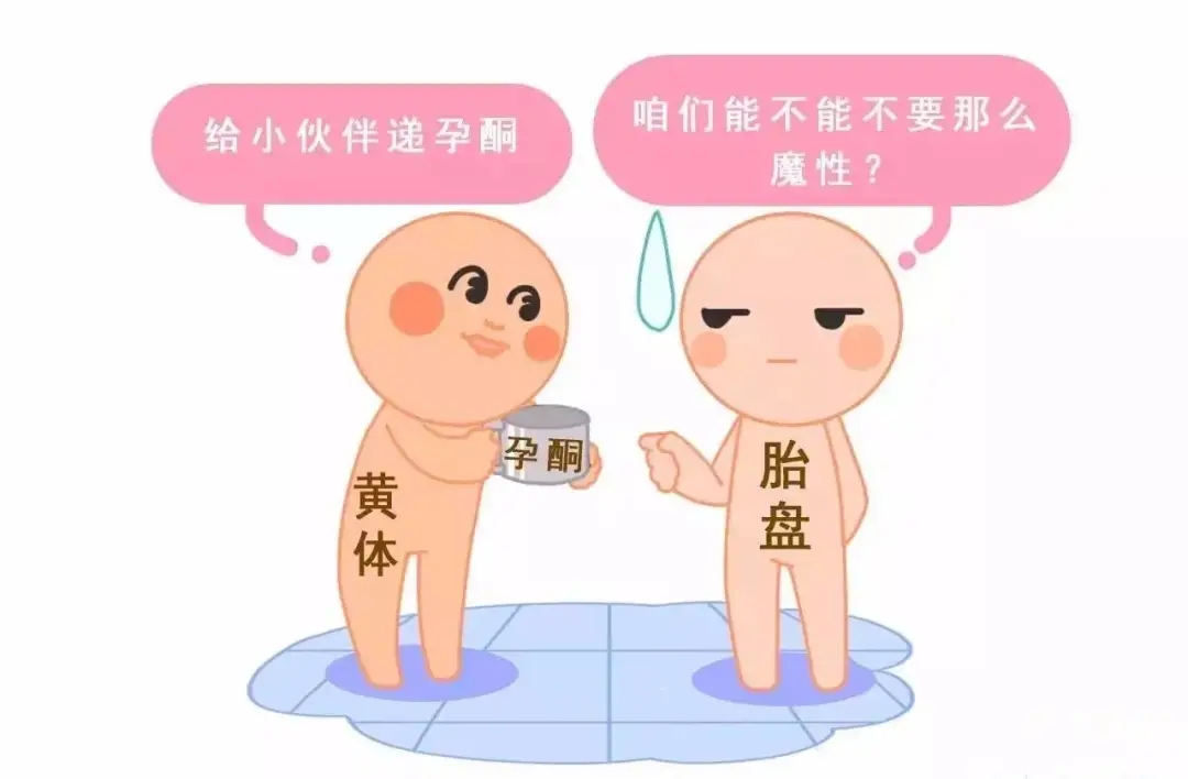 HCG和孕酮低一定會(huì)流產(chǎn)？備孕女性必須知道的孕早期“秘密”